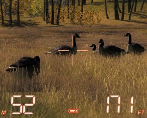 The Hunter Kanadagans Lockvogel