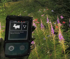 The Hunter ald-Kaninchen Update