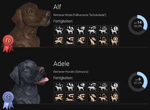 The Hunter Retriever Fertigkeiten