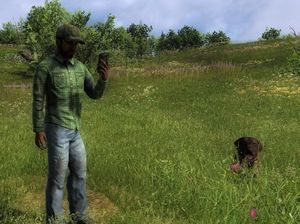 The Hunter erster Jagdhund Labrador Retriever