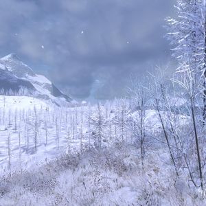 The Hunter Whiterime Ridge arktische Kaelte